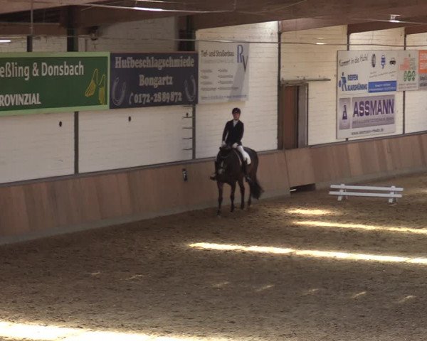 Reitturnier Rhede 2022