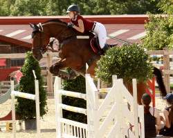 jumper Flying Temptation (Oldenburg show jumper, 2012, from Filou de Muze)