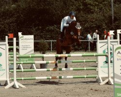 jumper Letitia 14 (Oldenburg show jumper, 2011, from Levisonn 208 FIN)