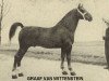 stallion Graaf van Wittenstein (Gelderland, 1942, from Baronet)