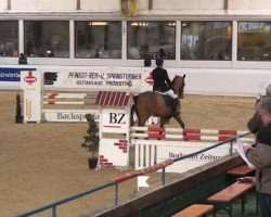 jumper Cederik 9 (Westphalian, 2008)