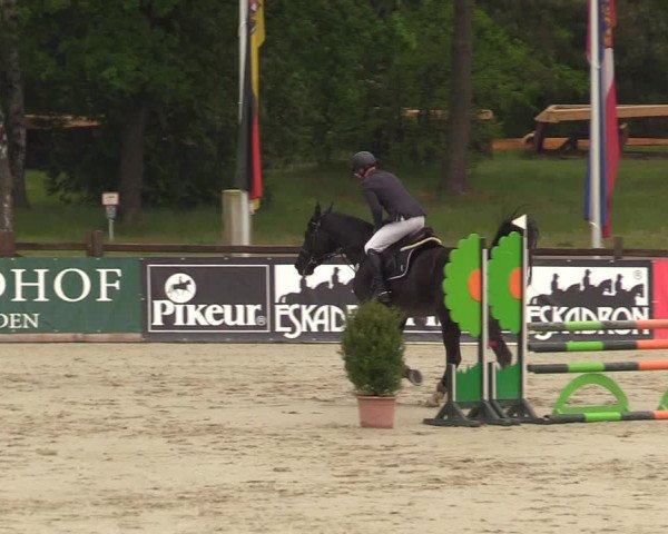 Reitturnier Westergellersen 2022