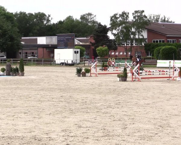 Reitturnier Langenfeld - Gut Langfort 2022