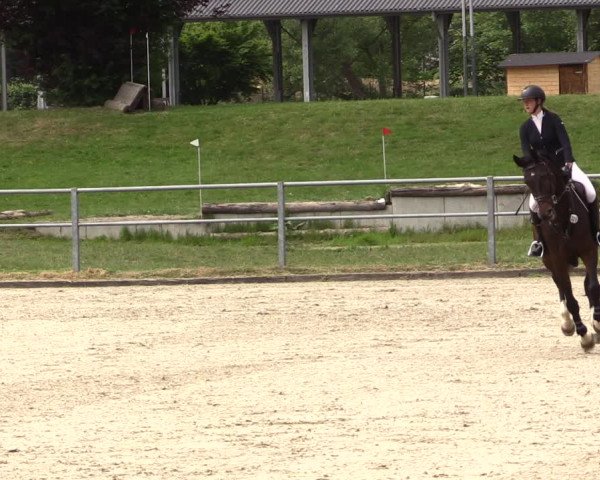 Reitturnier Langenfeld - Gut Langfort 2022