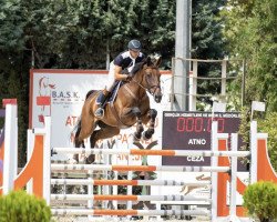 jumper E Joost 111 Z (Zangersheide riding horse, 2014, from Echo van het Neerenbosch)