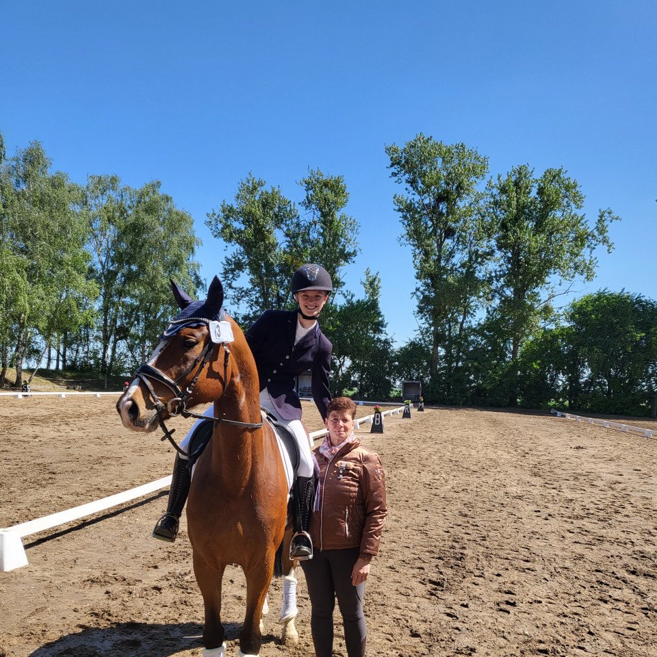 dressage horse Amazing Sinclair Show must go one (German Sport Horse, 2015, from Amazing Spirit)