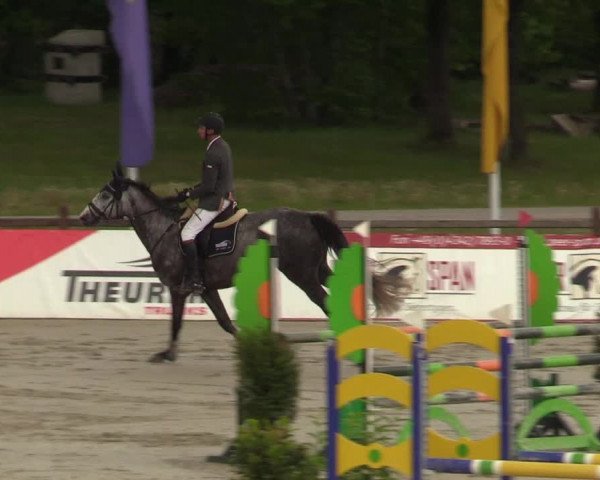 Reitturnier Westergellersen 2022