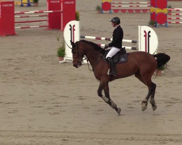 Reitturnier Westergellersen 2022