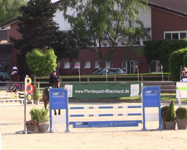 Reitturnier Langenfeld - Gut Langfort 2022