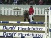 Deckhengst Maxx (Dt.Part-bred Shetland Pony, 2002, von Moon - Beam)