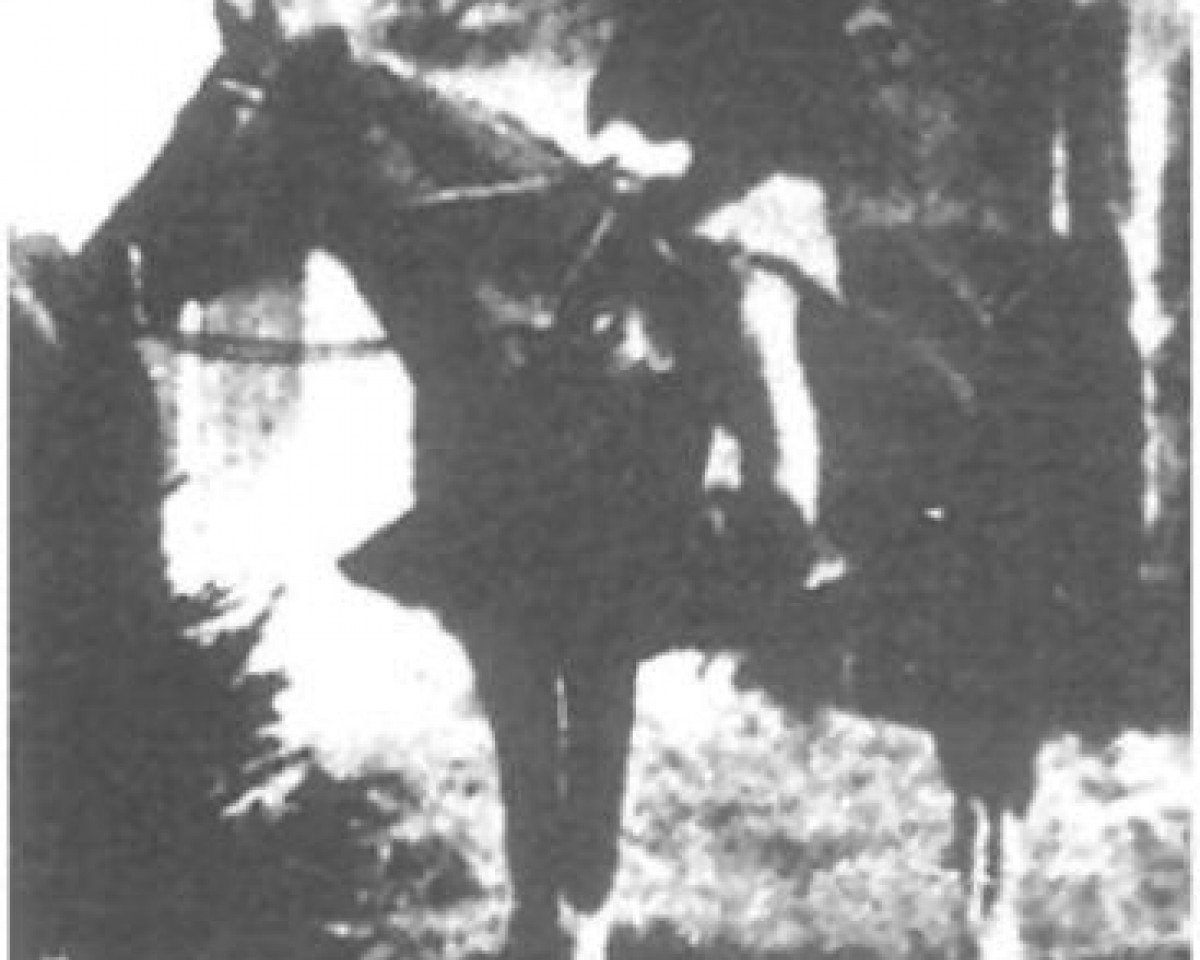 broodmare Rijma 1911 ox (Arabian purebred, 1911, from Rijm 1901 ox)