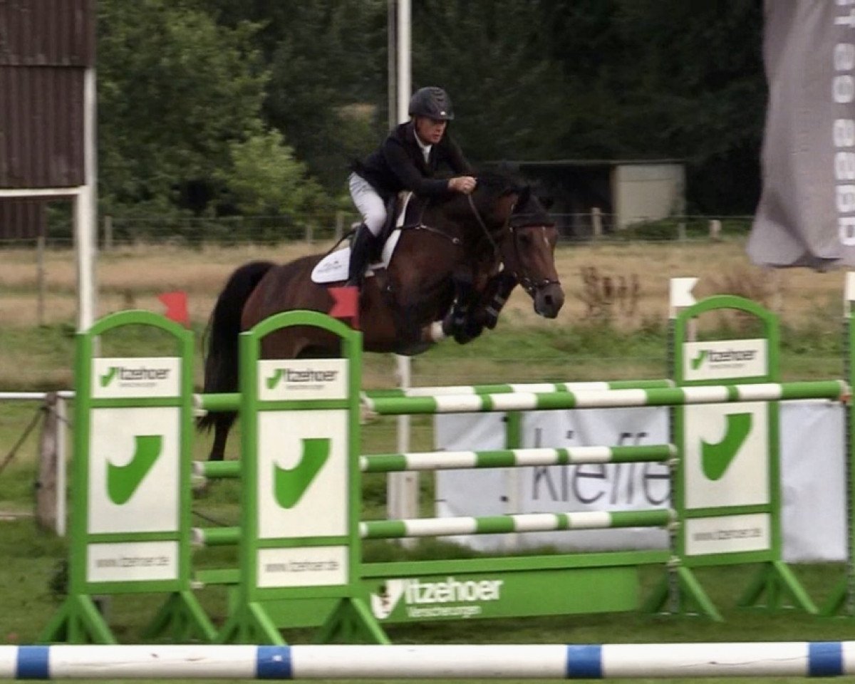 broodmare Giandujah DL (Holsteiner, 2014, from Casall Ask)