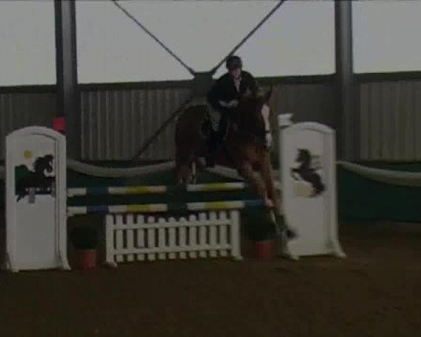 jumper Kentucky J 2 (Westphalian, 2008, from Kulmann)