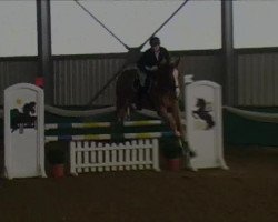 jumper Kentucky J 2 (Westphalian, 2008, from Kulmann)