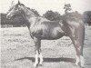 stallion Rialto xx (Thoroughbred, 1923, from Rabelais xx)