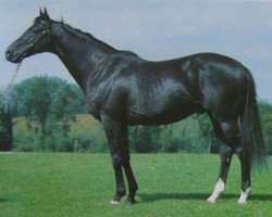 stallion Akarad xx (Thoroughbred, 1978, from Labus xx)