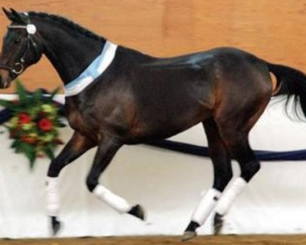 stallion Lenz xx (Thoroughbred, 1985, from Akarad xx)