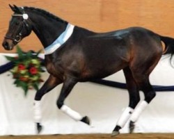 stallion Lenz xx (Thoroughbred, 1985, from Akarad xx)