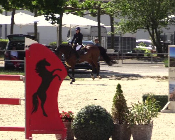 Reitturnier Langenfeld - Gut Langfort 2022