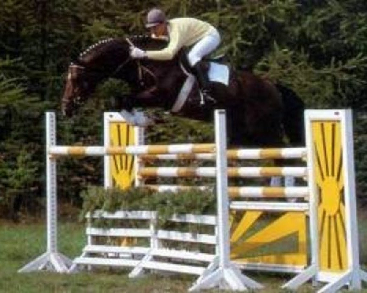 stallion Drosselklang I (Hanoverian, 1982, from Don Carlos 4088)