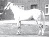stallion Escort xx (Thoroughbred, 1967, from Pantheon xx)
