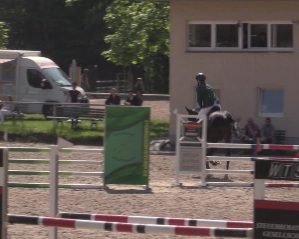 Reitturnier Lgl.-Oberhain, B95 2022