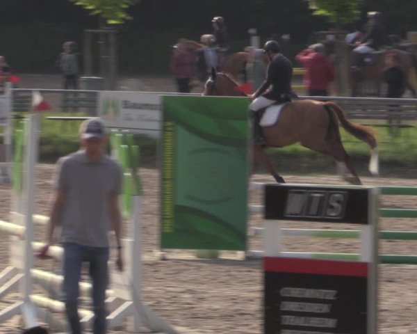 Reitturnier Lgl.-Oberhain, B95 2022