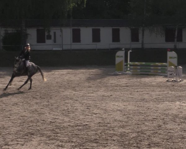 Reitturnier Lgl.-Oberhain, B95 2022