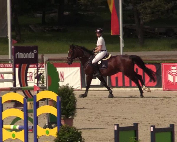 Reitturnier Westergellersen 2022