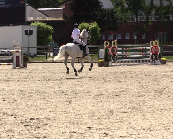 Reitturnier Langenfeld - Gut Langfort 2022