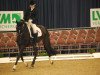 dressage horse Ingido (Westphalian, 2004, from Insterburg TSF)