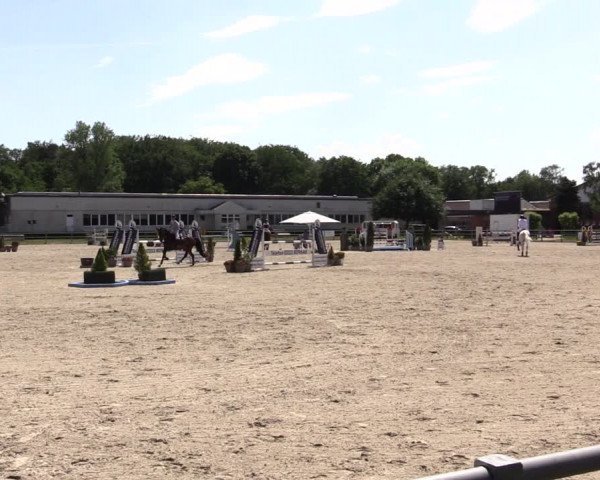 Reitturnier Langenfeld - Gut Langfort 2022