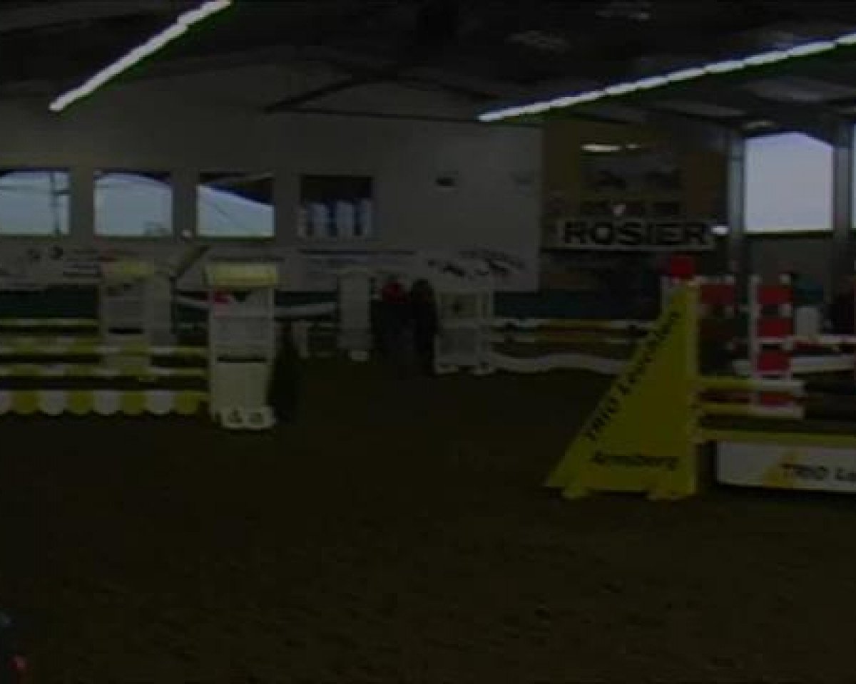 jumper Classic de Luxe (Hanoverian, 2008, from Class de Luxe 2)