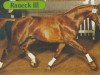 stallion Raueck III (Bavarian, 1991, from Rasso)