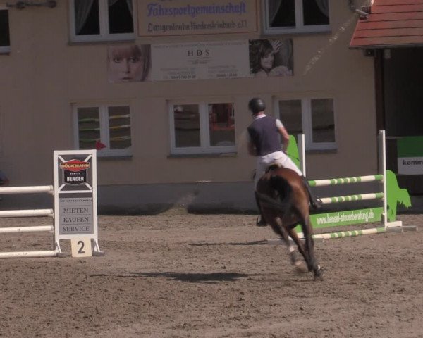 Reitturnier Lgl.-Oberhain, B95 2022