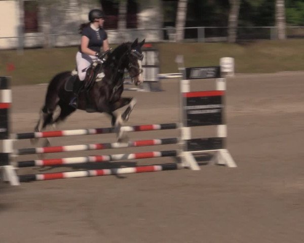 Reitturnier Lgl.-Oberhain, B95 2022