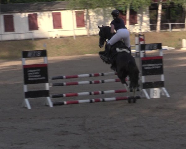 Reitturnier Lgl.-Oberhain, B95 2022