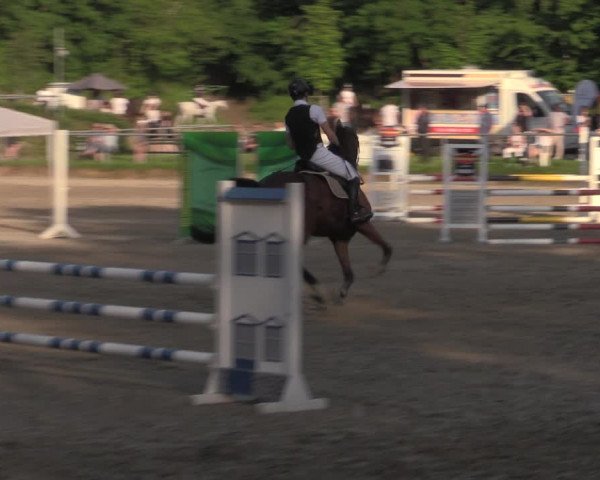 Reitturnier Lgl.-Oberhain, B95 2022