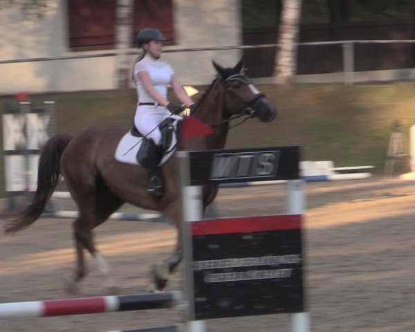 Reitturnier Lgl.-Oberhain, B95 2022