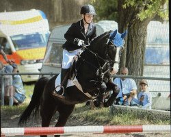 Springpferd Chakalaka 7 (Deutsches Reitpony, 2010, von Constantin)