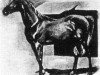stallion Maidan 1869 DB (Arabian thoroughbred, 1869)