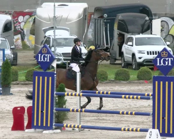 Reitturnier Basel Schänzli 2022
