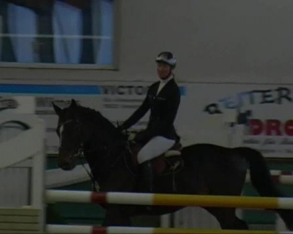 jumper A Spin Off (Latvian Warmblood, 2006, from R.Adermie 58)