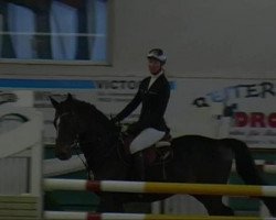 jumper A Spin Off (Latvian Warmblood, 2006, from R.Adermie 58)