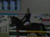 jumper A Spin Off (Latvian Warmblood, 2006, from R.Adermie 58)