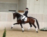 stallion Zack (Dutch Warmblood, 2004, from Rousseau)