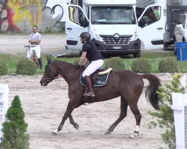 Reitturnier Basel Schänzli 2022