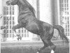 stallion Rahal 1924 ox (Arabian thoroughbred, 1924, from Nureddin II 1911 ox)