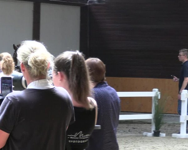 Hannoveraner Zuchtstutenprüfung mit Prämierung in Wickrath 2022