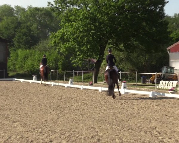 Reitturnier Nienberge-Schonebeck, Reitanlage Geßmann 2022